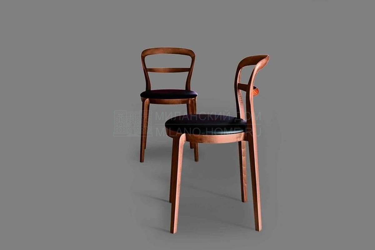 Стул Daisy/armchair из Италии фабрики ASTER Cucine