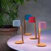 Настольная лампа Gaia table lamp