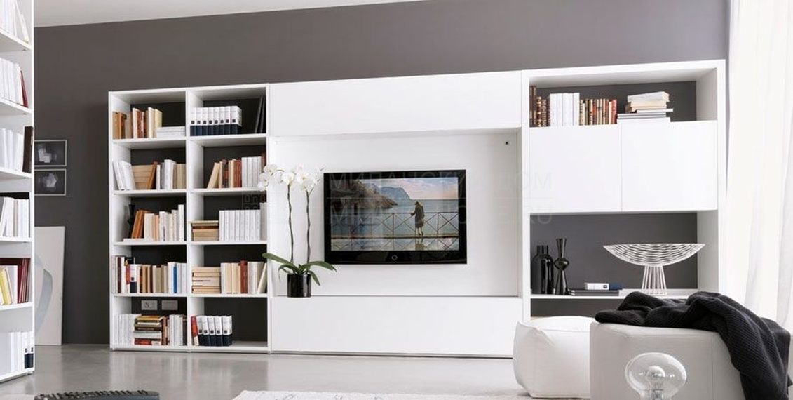 Модульная система Cube4/2,5 cm Projectual Library-4 из Италии фабрики OLIVIERI