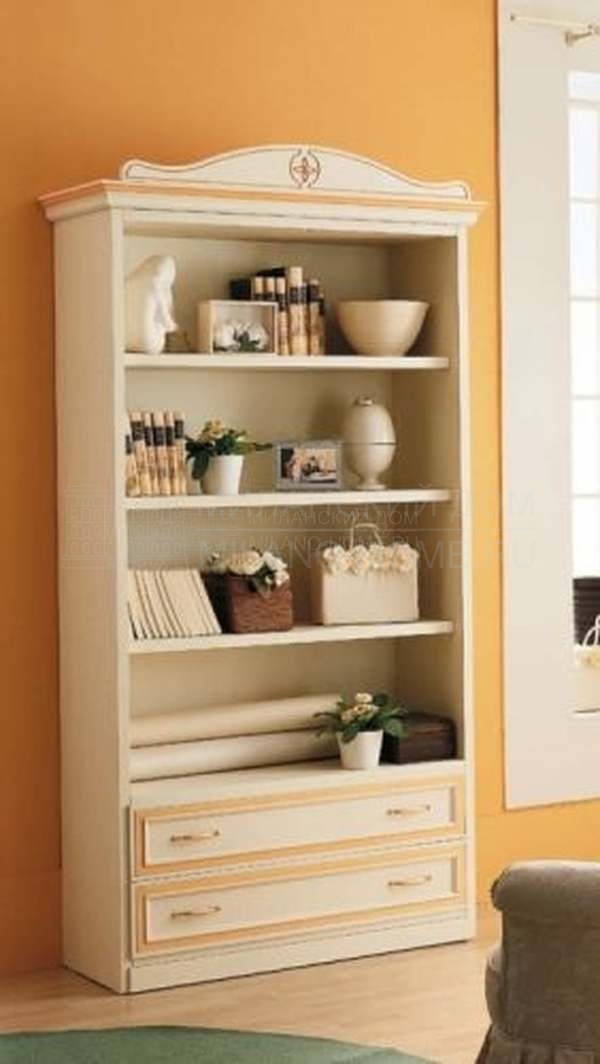 Книжный шкаф VV00 из Италии фабрики FERRETTI & FERRETTI Книжный шкаф VV00 из Италии фабрики FERRETTI & FERRETTI